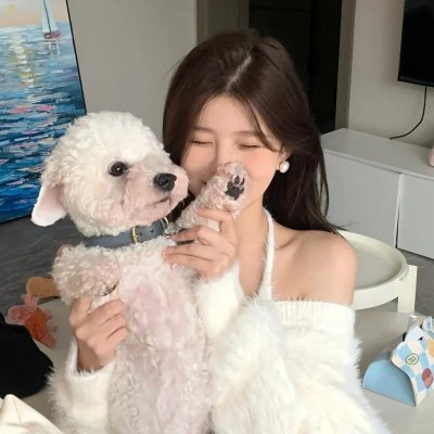 窗外有情天