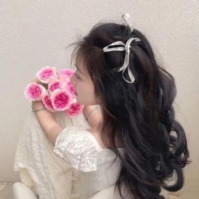 情陷亚维农
